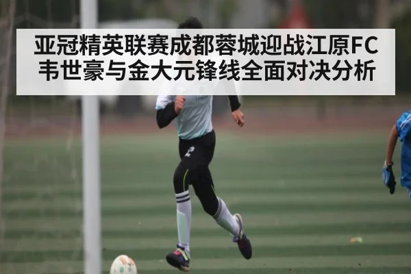 亚冠精英联赛成都蓉城迎战江原FC韦世豪与金大元锋线全面对决分析 - kaiyun